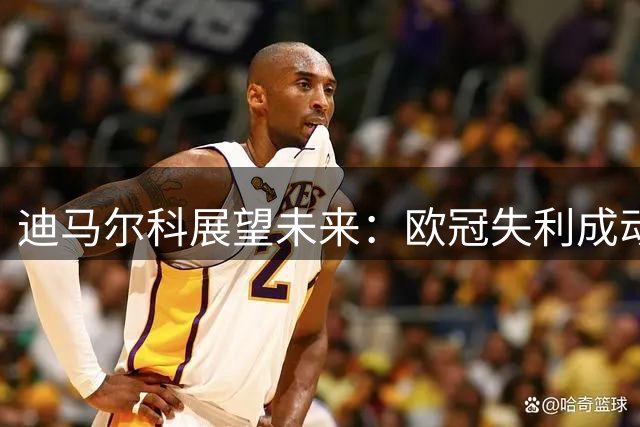 迪马尔科展望未来：欧冠失利成动力，续约事宜待定